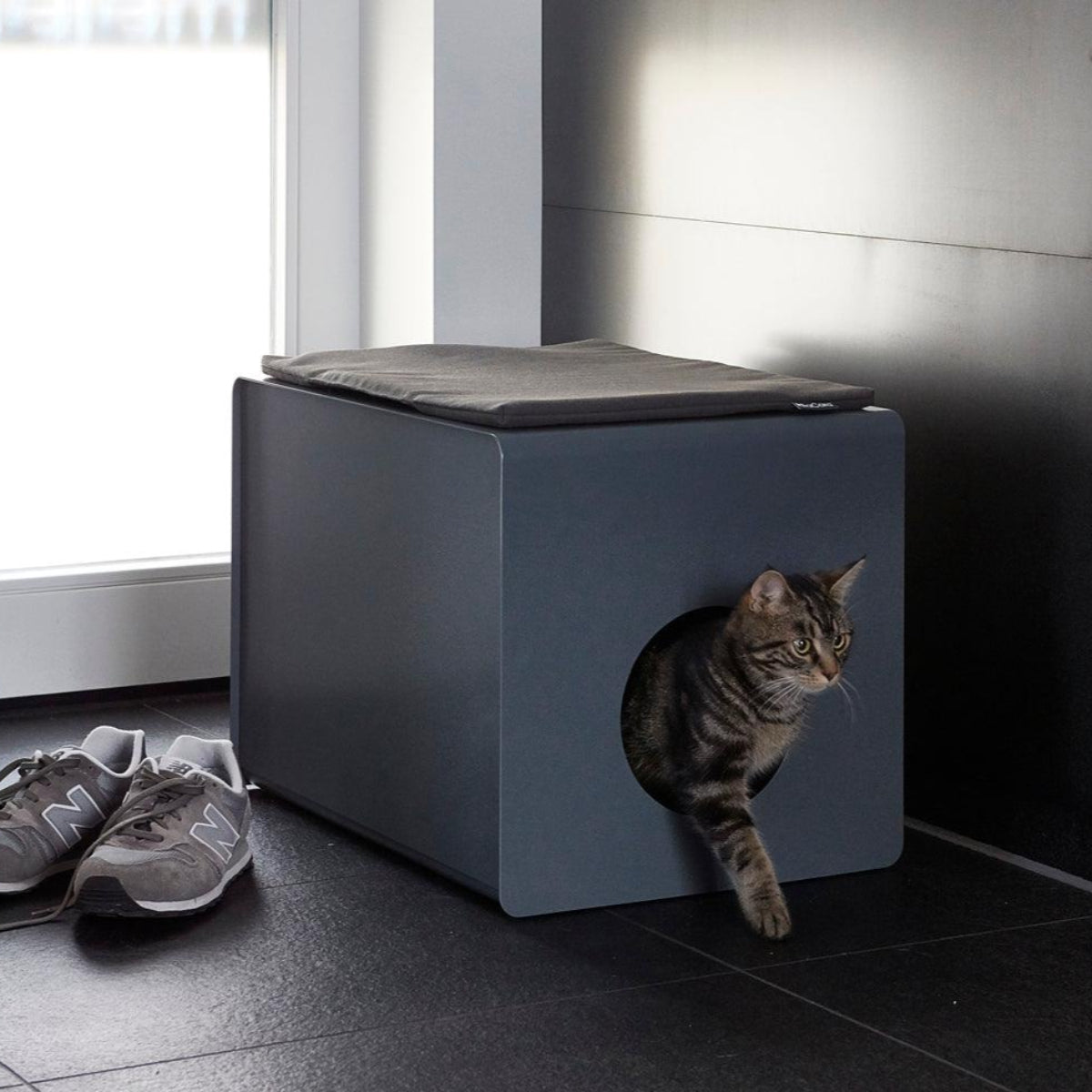 Coussin d'assise pour litière pour chat - SITO - Kasibe