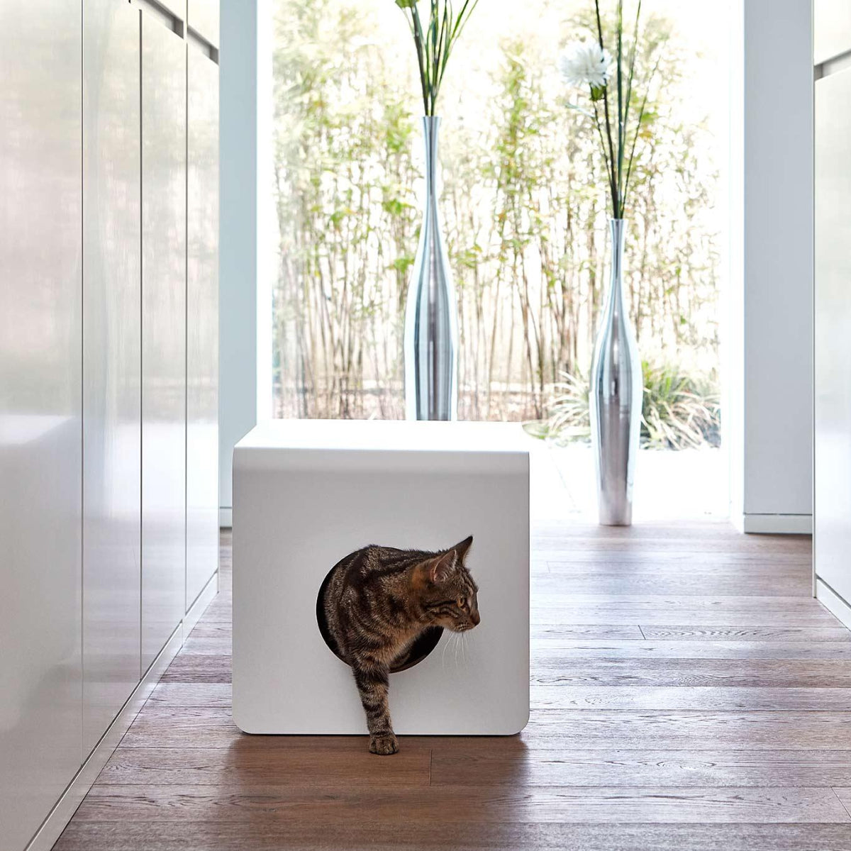 Coussin d'assise pour litière pour chat - SITO - Kasibe