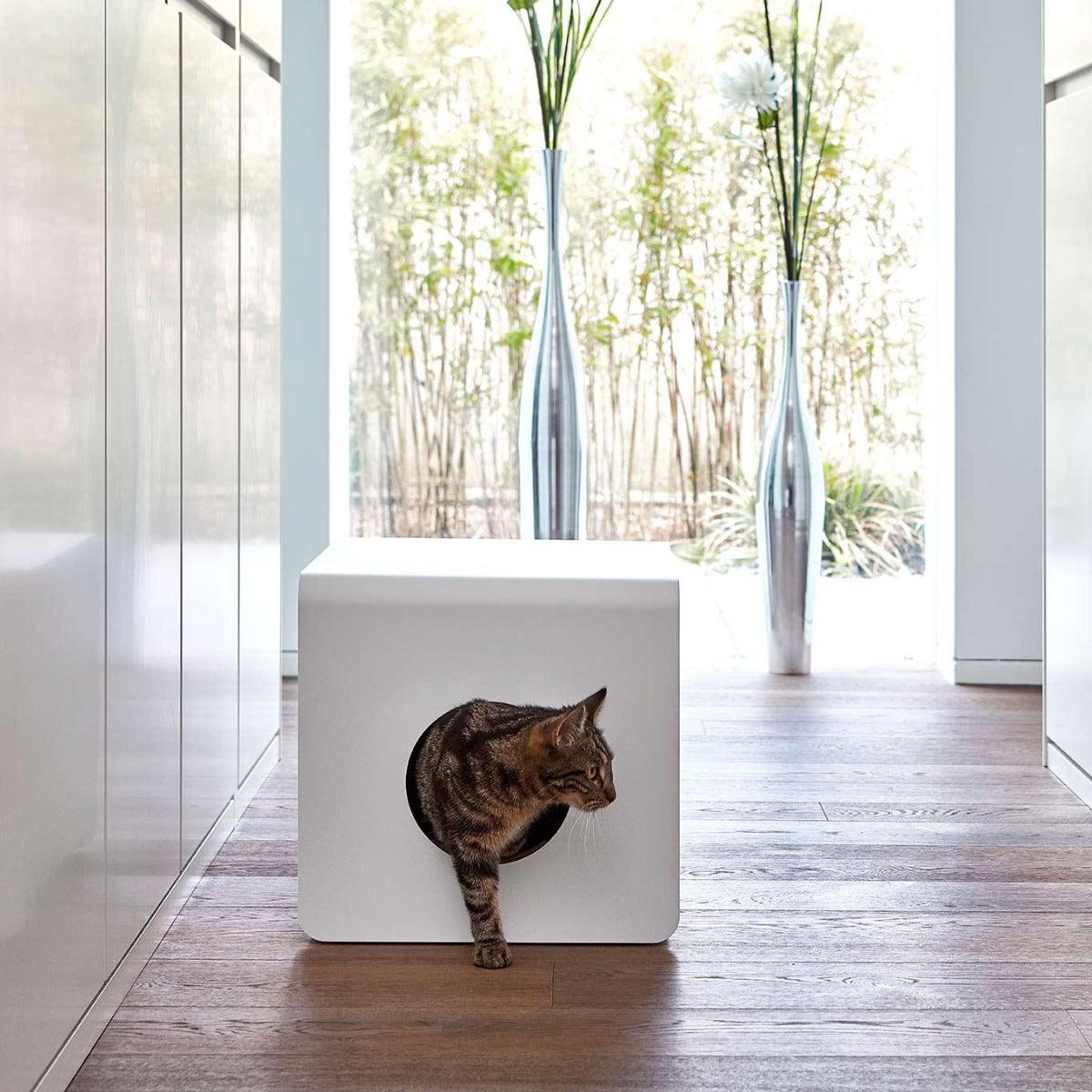 Coussin d'assise pour litière pour chat - SITO - Kasibe