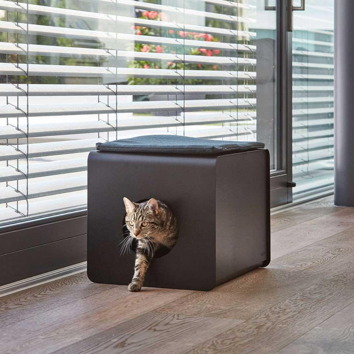 Coussin d'assise pour litière pour chat - SITO - Kasibe