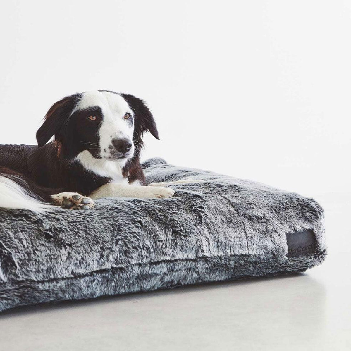 Coussin en fausse fourrure pour chien - FELPA - Kasibe