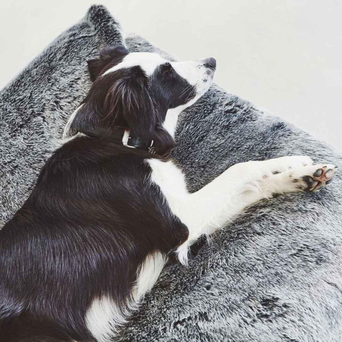 Coussin en fausse fourrure pour chien - FELPA - Kasibe