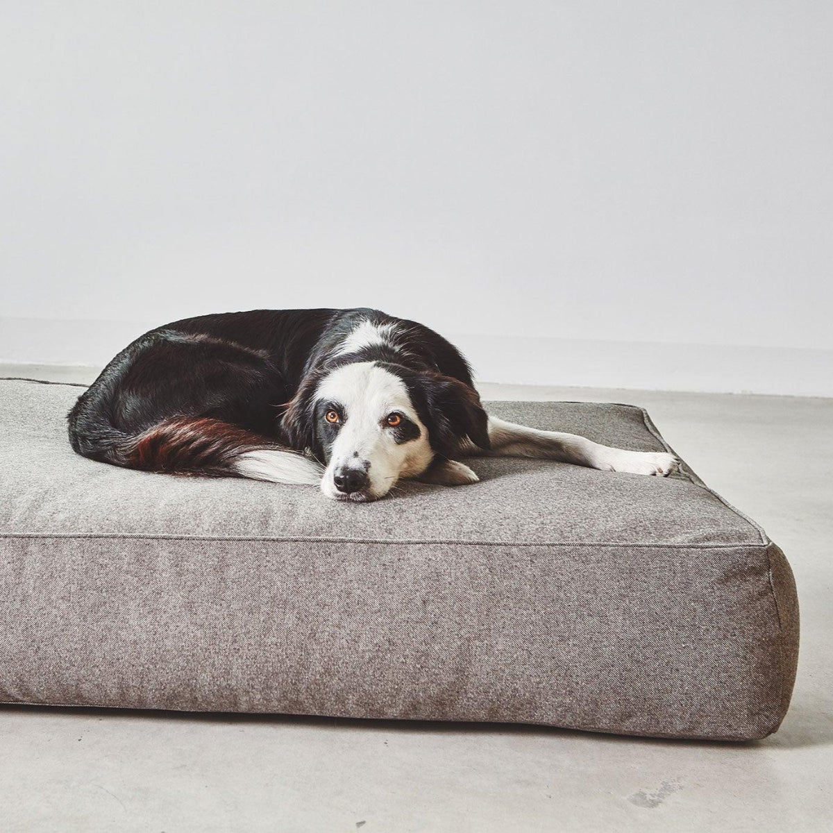 Coussin épais pour chien - STELLA - Kasibe