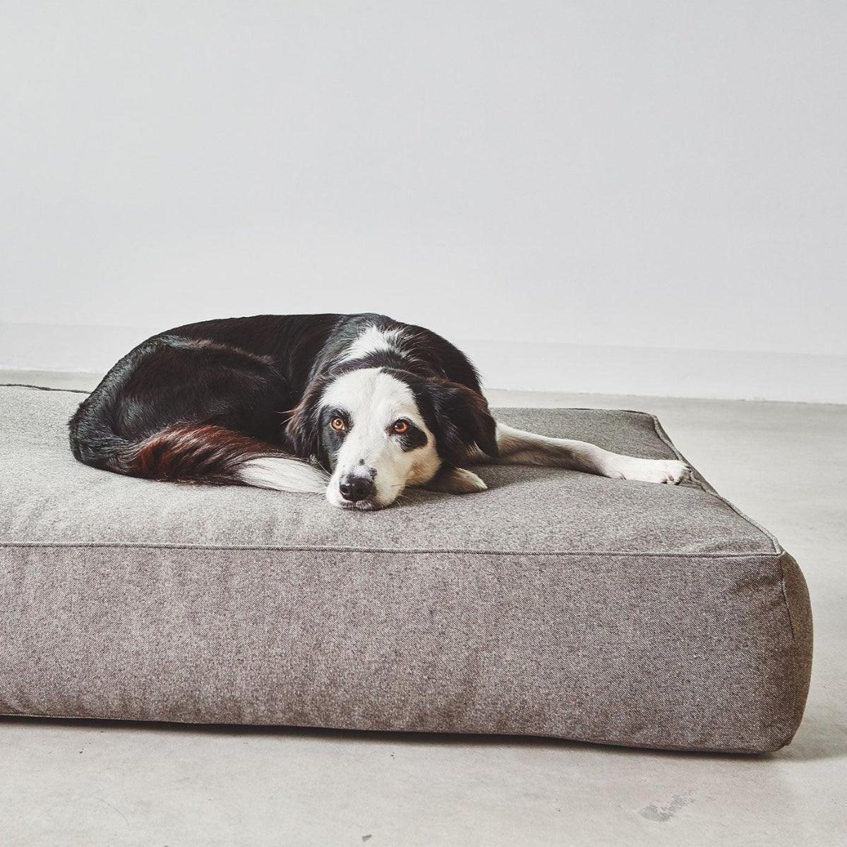 Coussin épais pour chien - STELLA - Kasibe