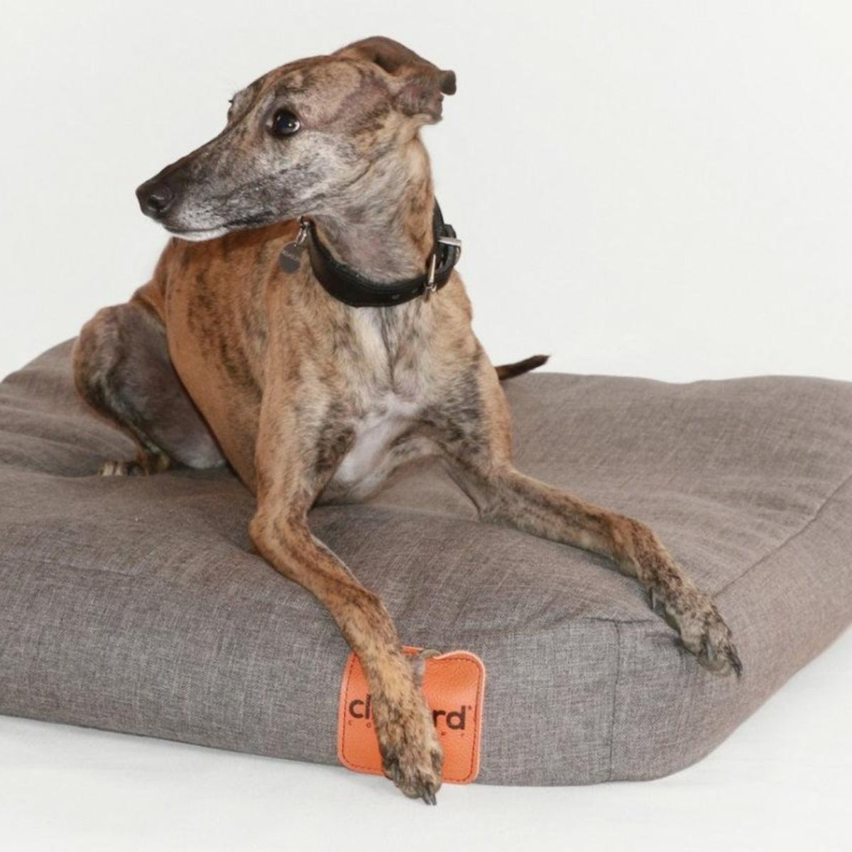Coussin ergonomique pour chien - LINEN - Kasibe