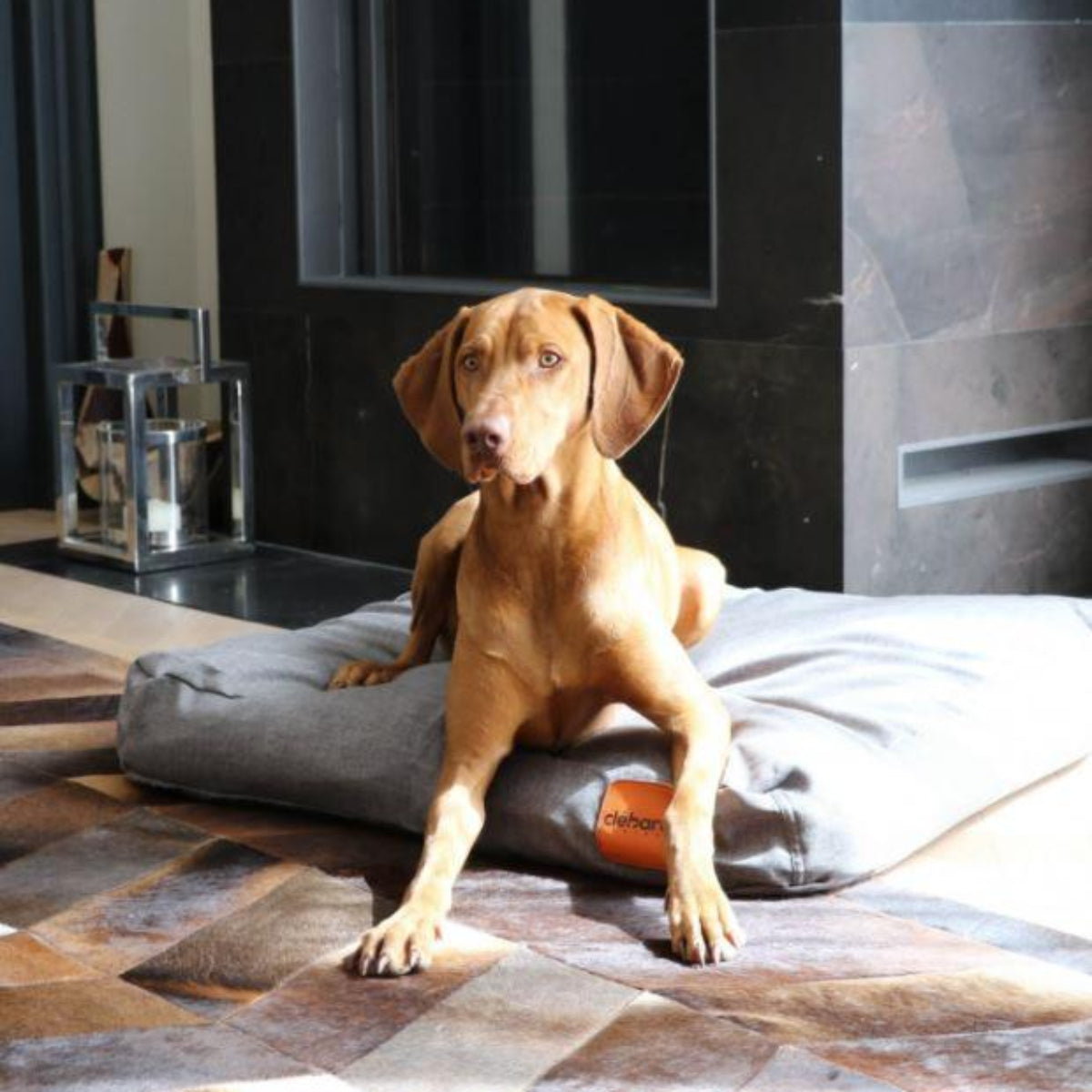 Coussin ergonomique pour chien - LINEN - Kasibe