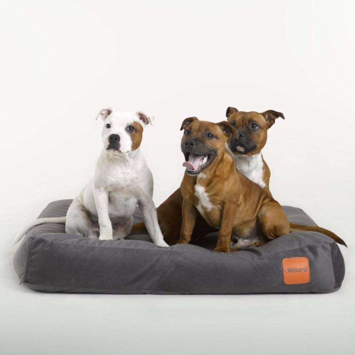 Coussin matelas pour chien déhoussable - VELVET - Kasibe