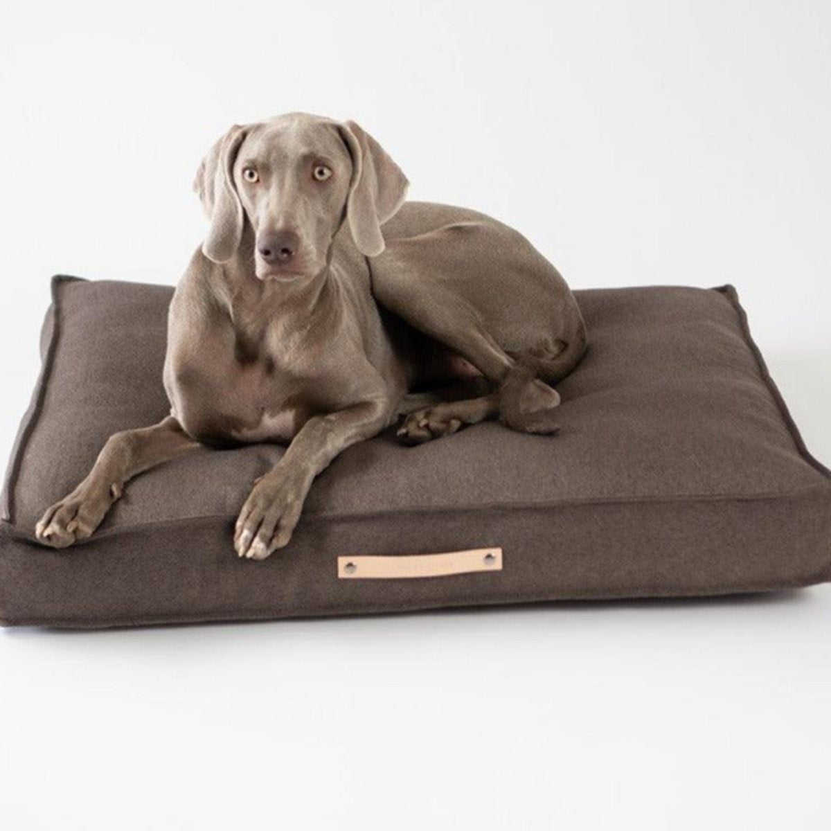 Coussin moderne pour chien - TOVE - Kasibe