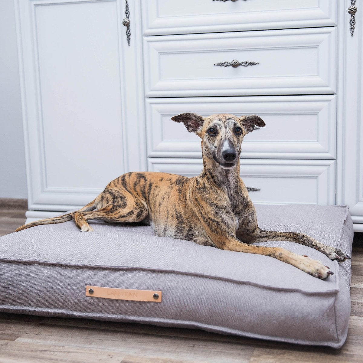 Coussin moderne pour chien - TOVE - Kasibe