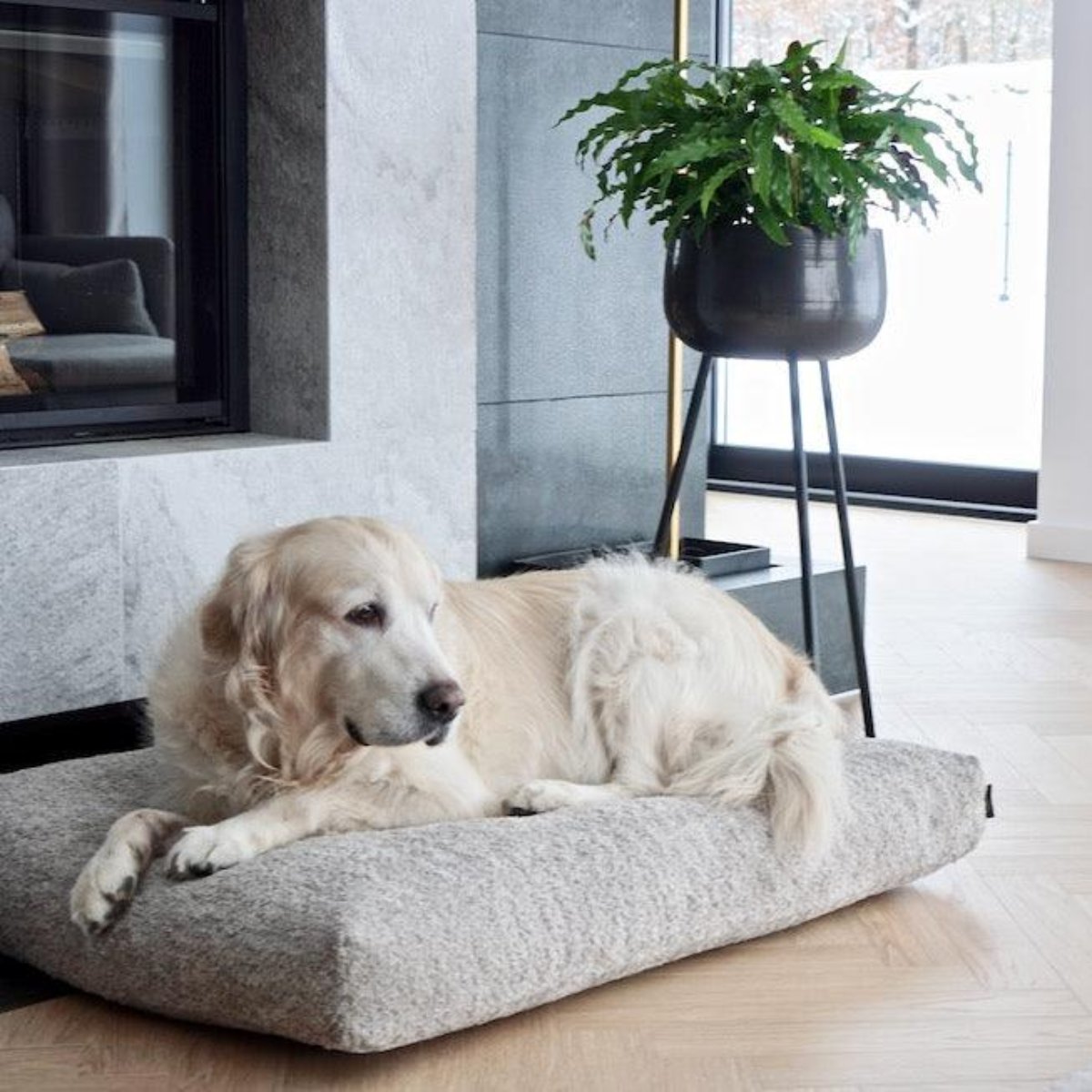Coussin pour chien anti stress - BUKLAA - Kasibe
