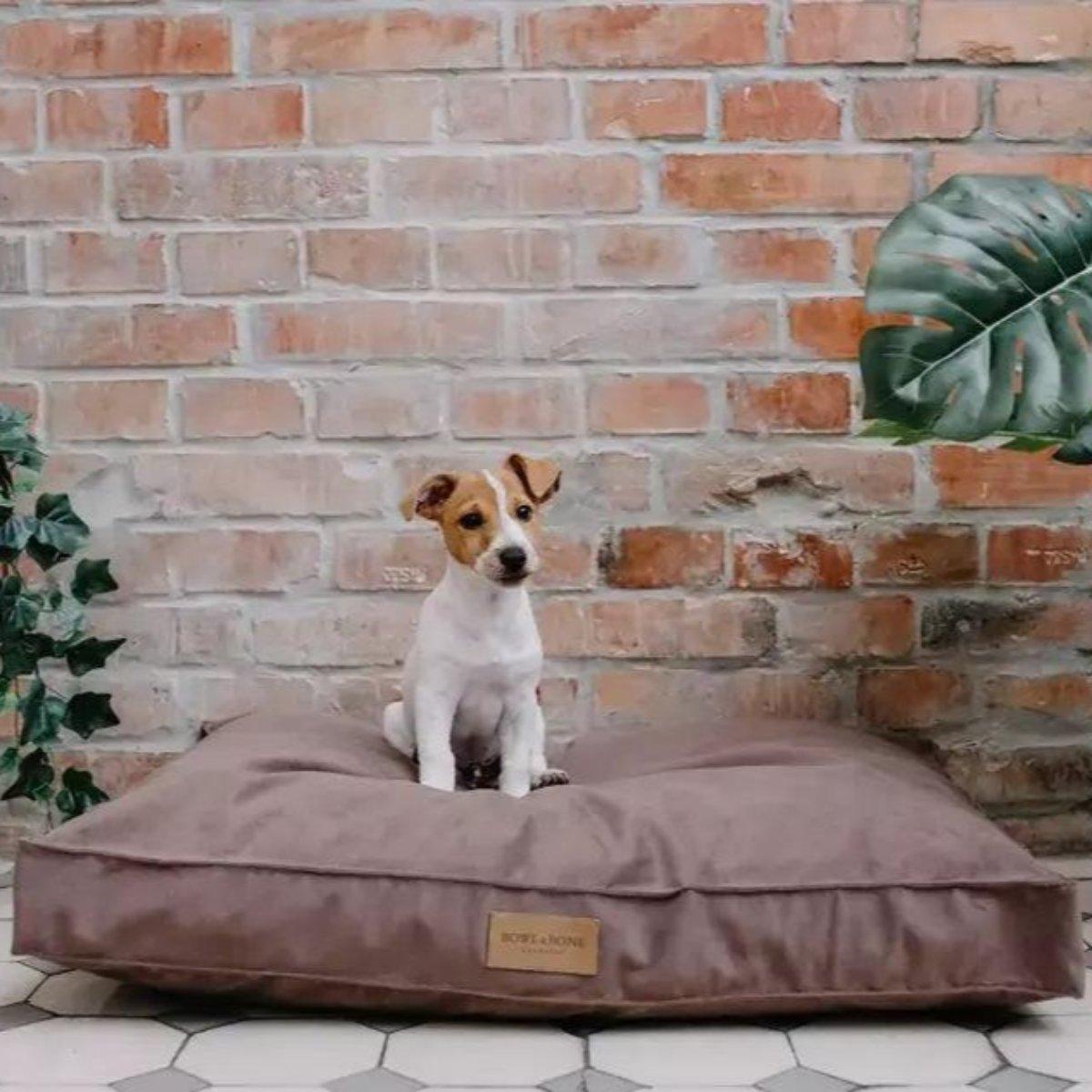 Coussin pour chien déhoussable - CLASSIC - Kasibe