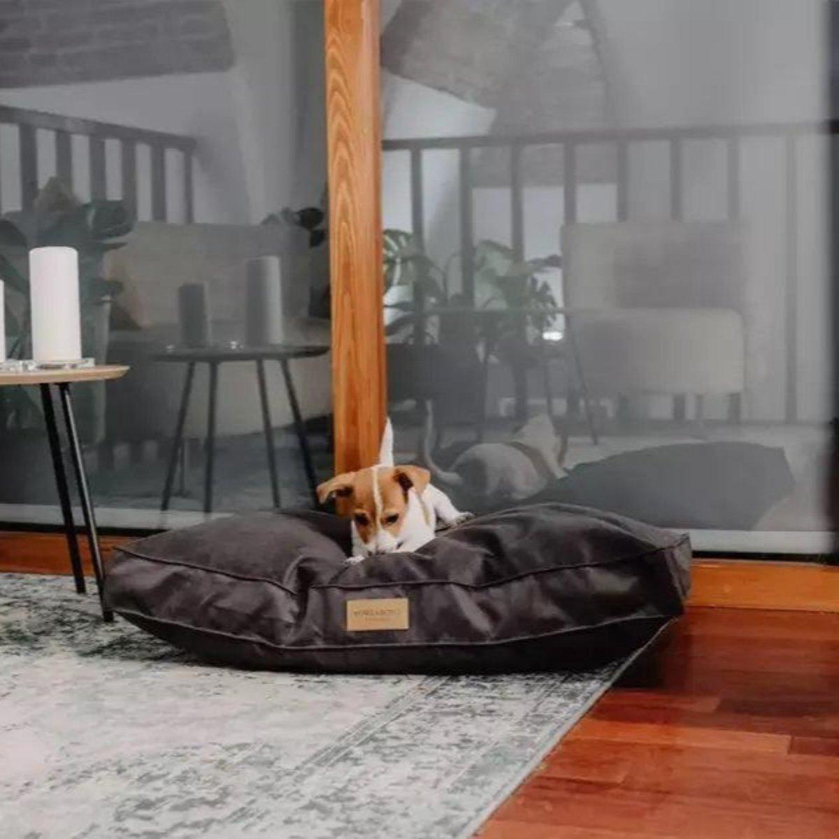 Coussin pour chien déhoussable - CLASSIC - Kasibe