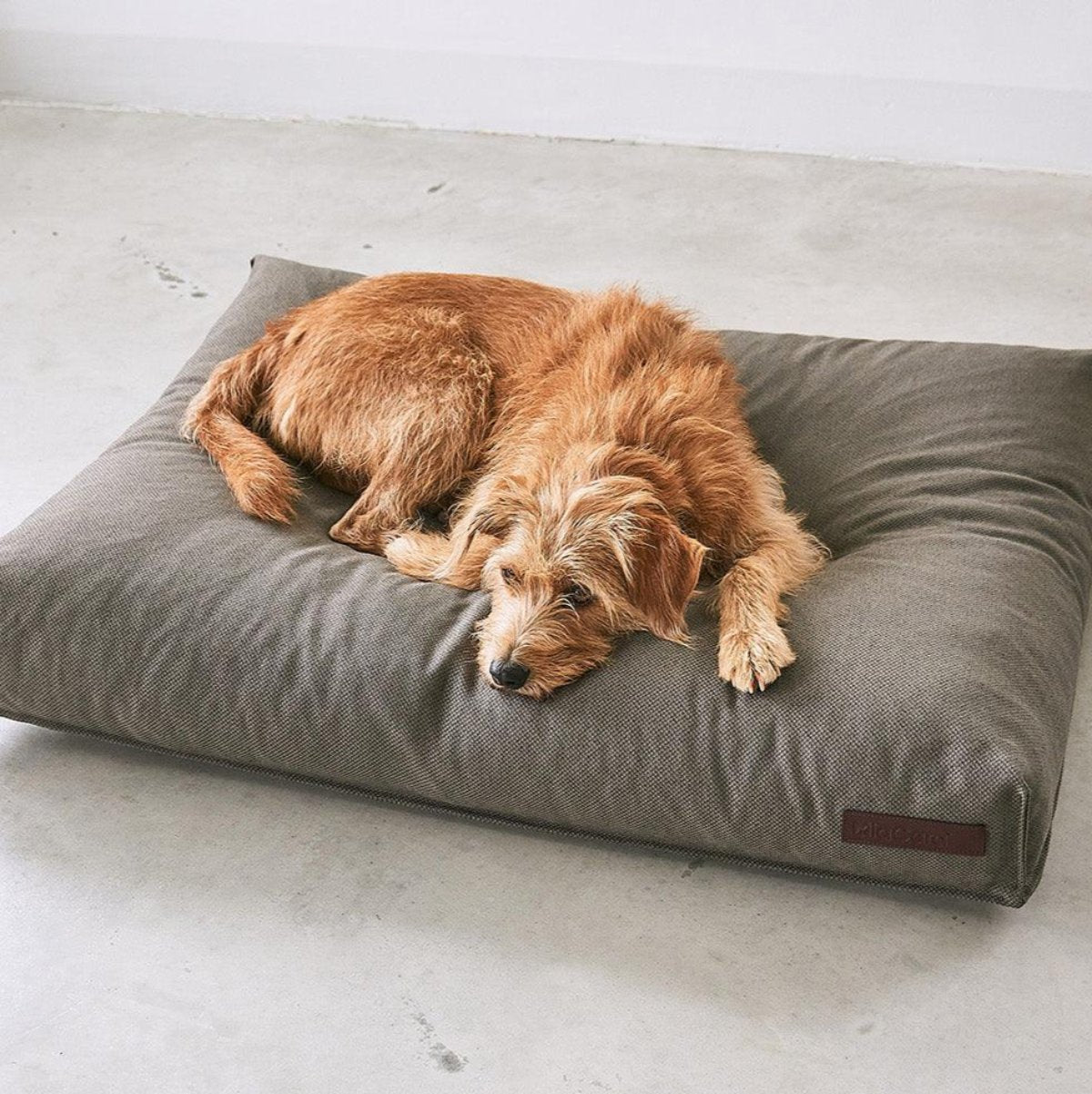 Coussin pour chien écoresponsable - MARE - Kasibe