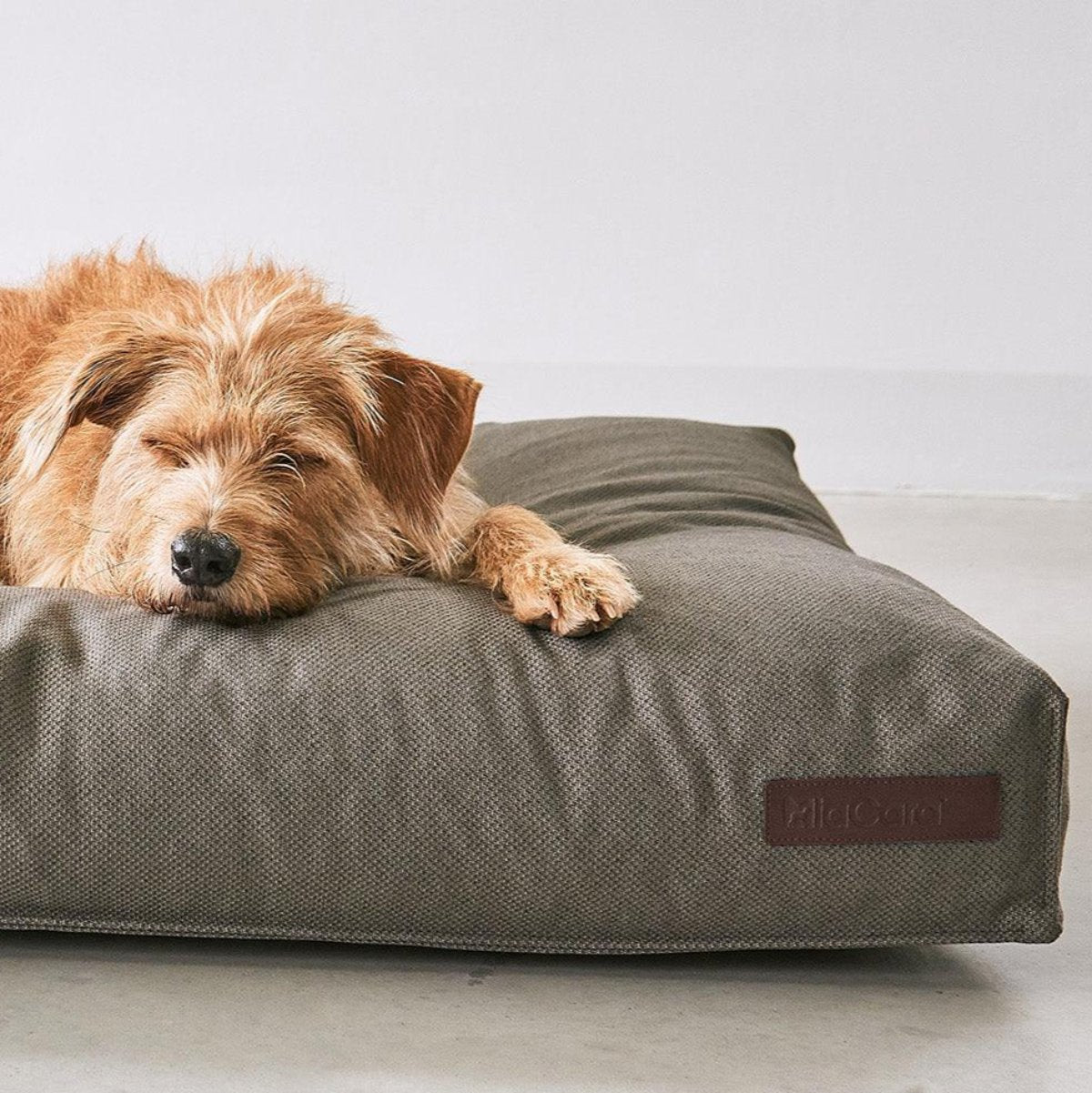 Coussin pour chien écoresponsable - MARE - Kasibe