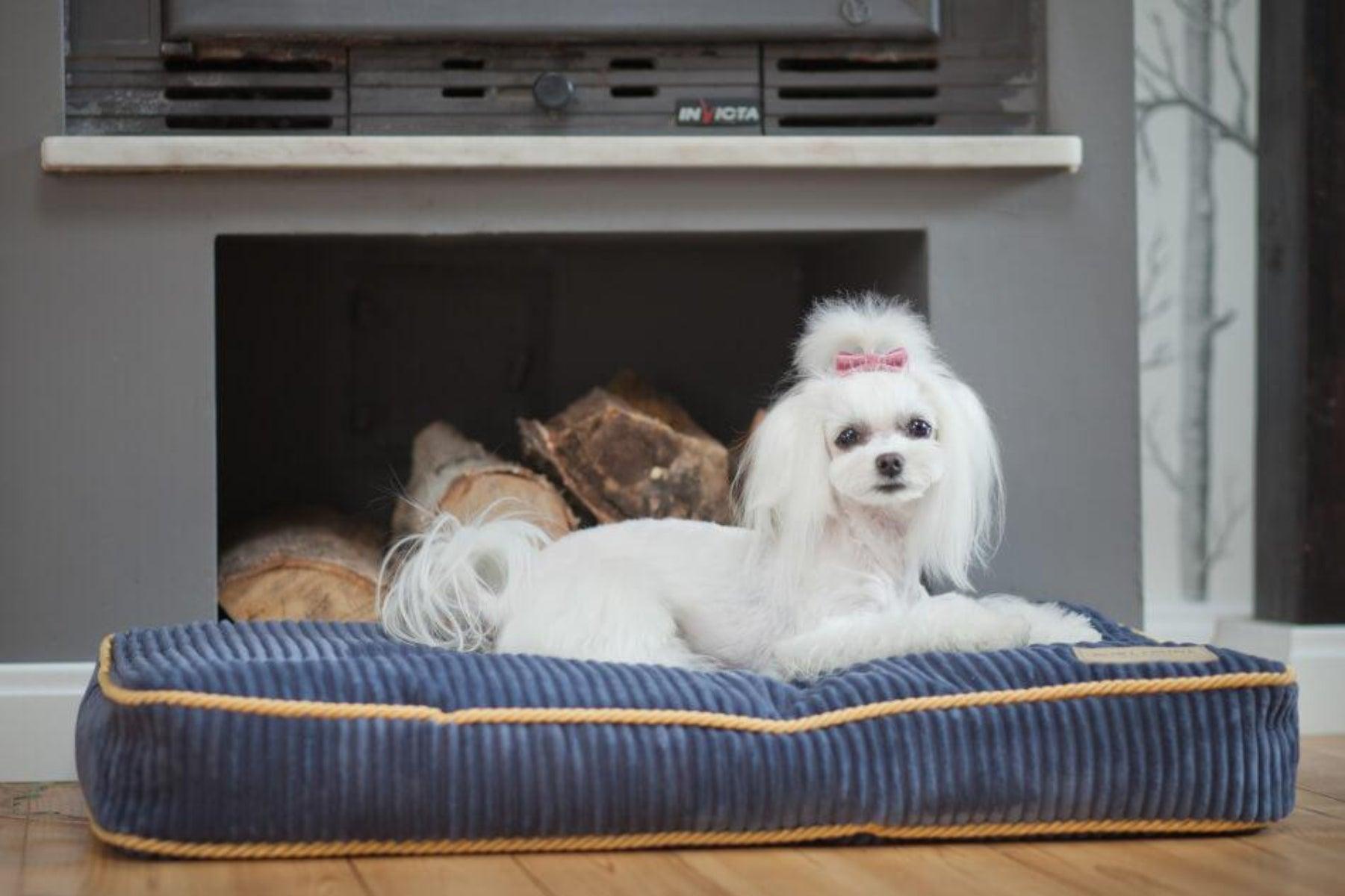 Coussin pour chien en velours côtelé - DECO - Kasibe