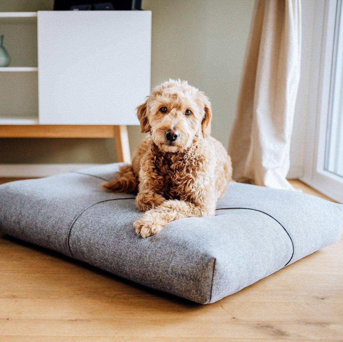 Coussin pour chien haut de gamme - FINNO - Kasibe