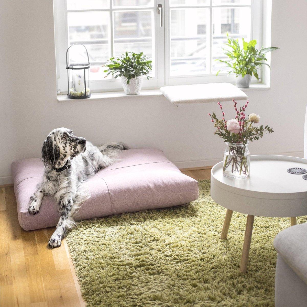 Coussin pour chien haut de gamme - FINNO - Kasibe