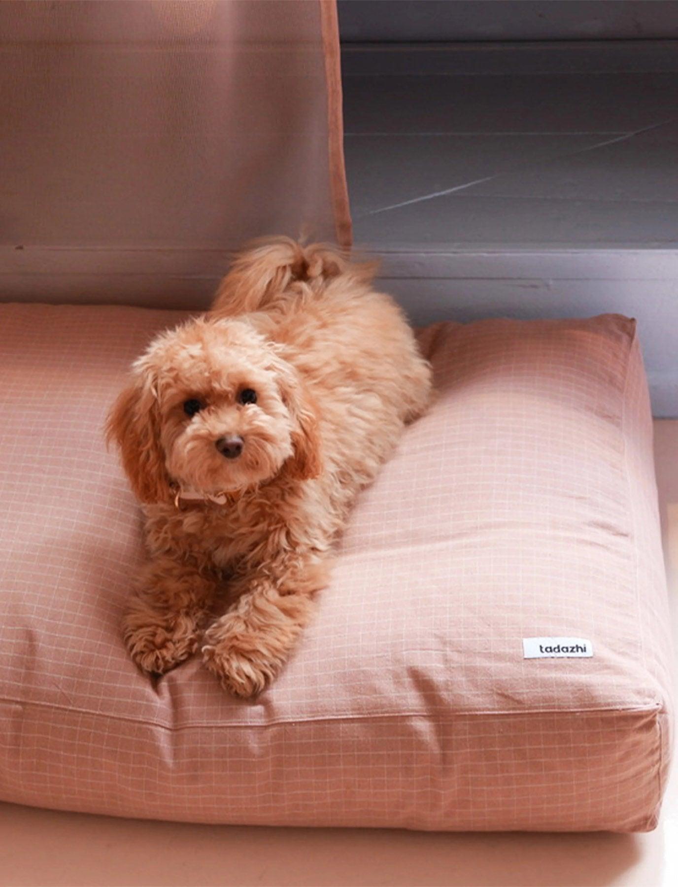 Coussin pour chien rectangulaire - TOBINE - Kasibe