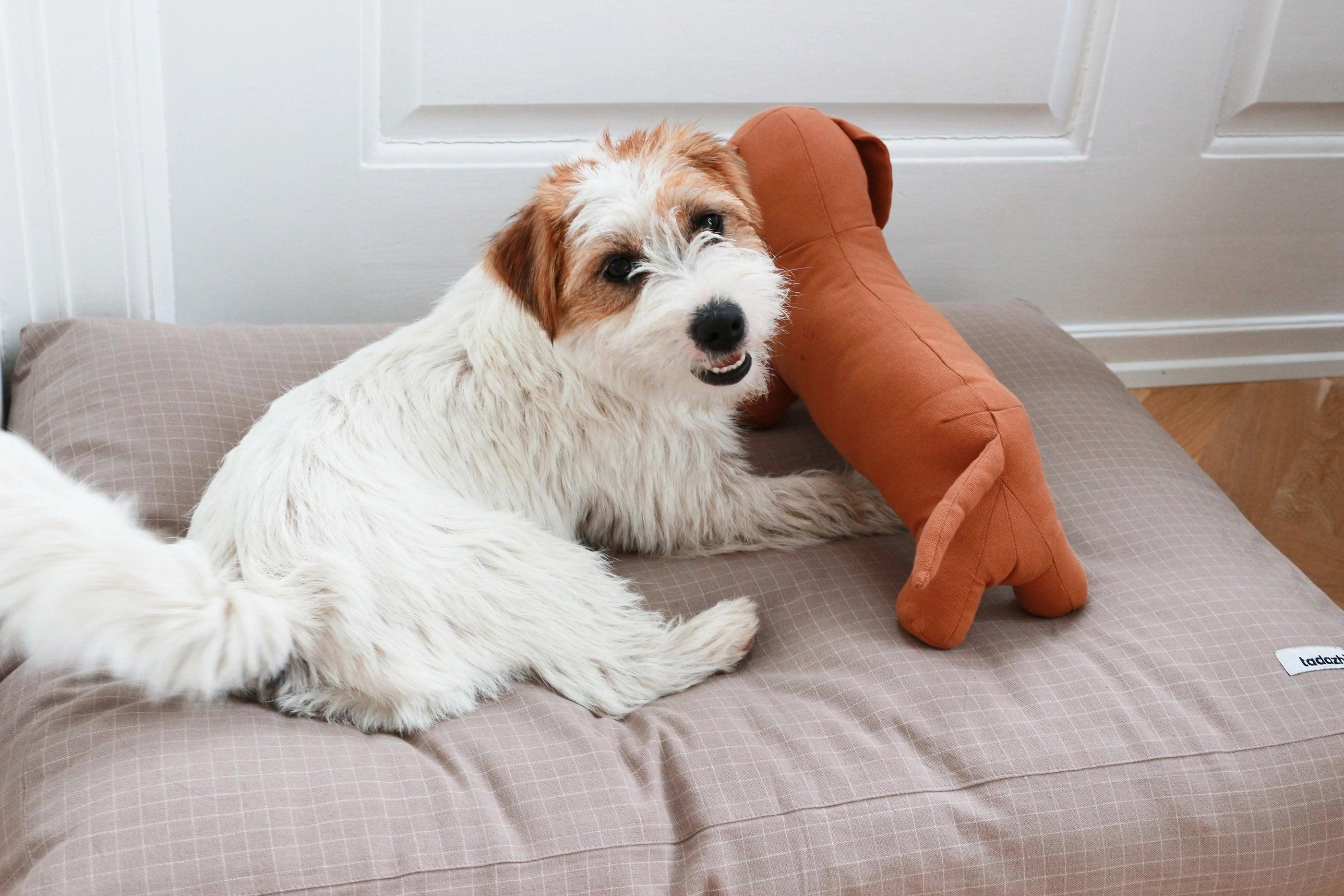 Coussin pour chien rectangulaire - TOBINE - Kasibe