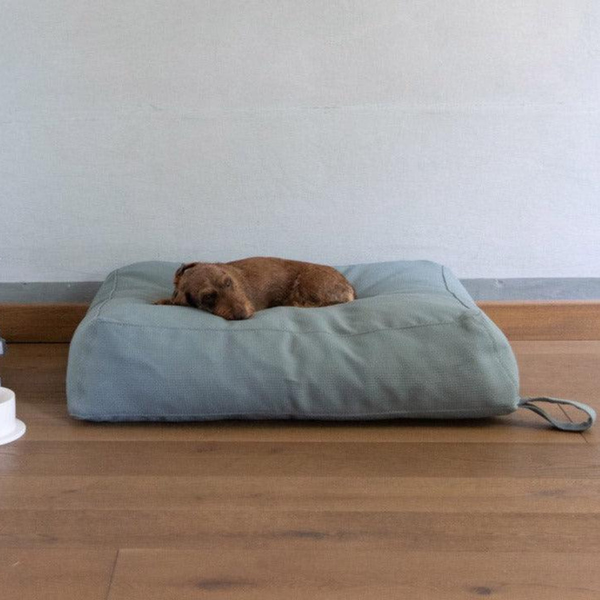 Coussin pour chien recyclable - YOUSUF REVIVA - Kasibe