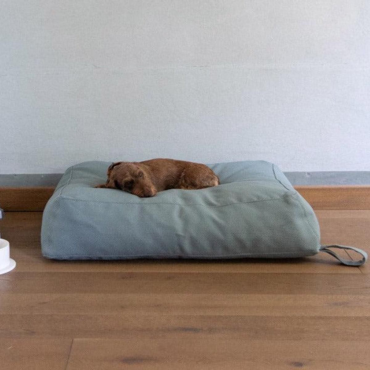 Coussin pour chien recyclable - YOUSUF REVIVA - Kasibe