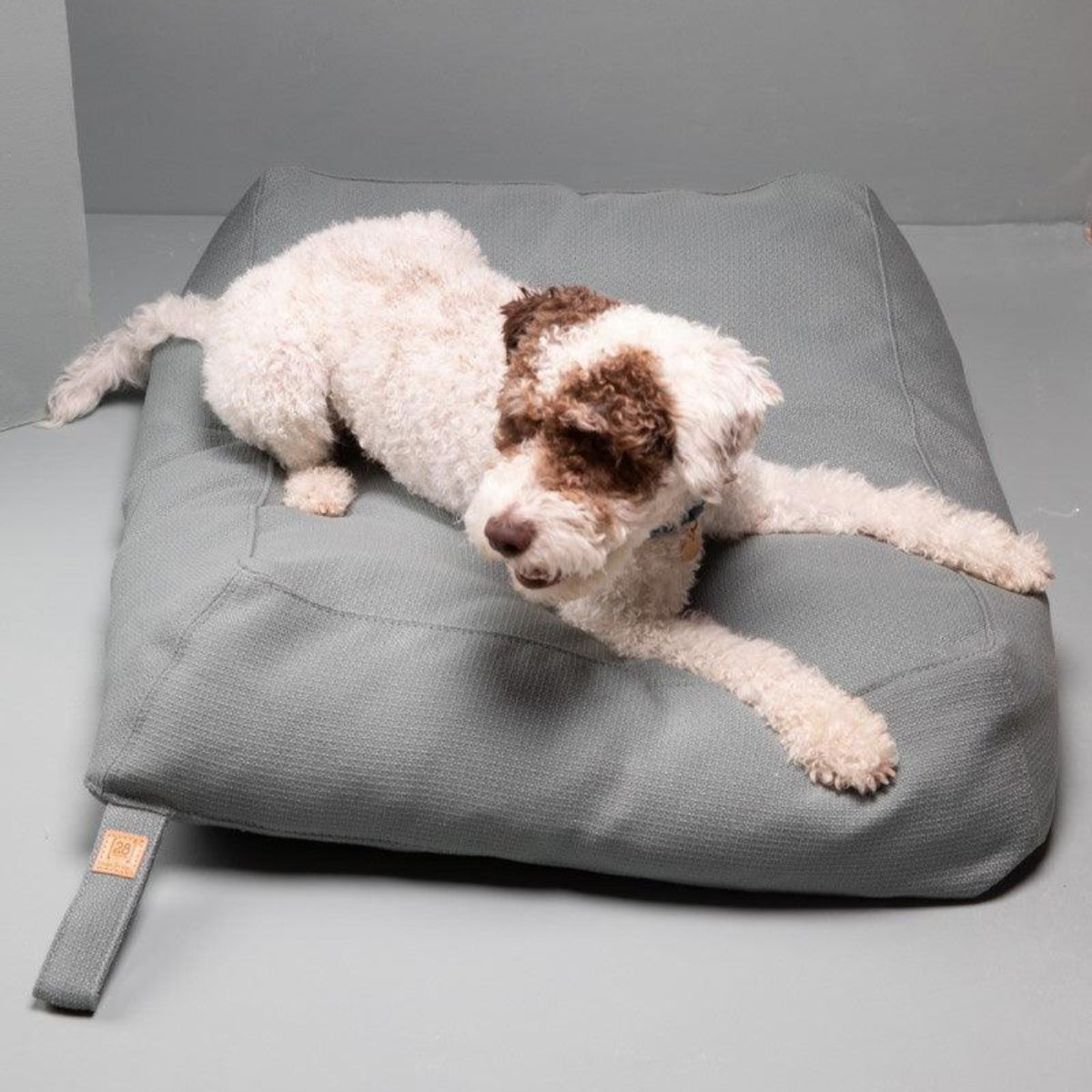 Coussin pour chien recyclable - YOUSUF REVIVA - Kasibe
