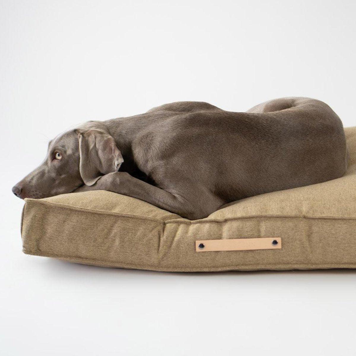 Coussin rectangulaire pour chien - MOVIK - Kasibe