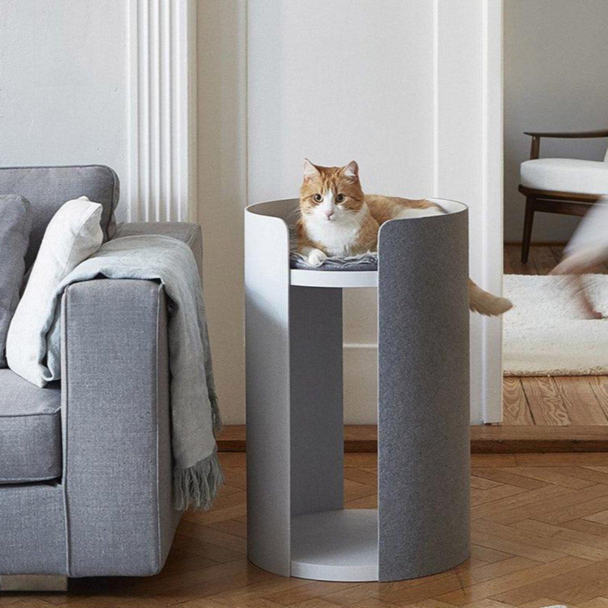 Coussin rond pour chat - TORRE - Kasibe