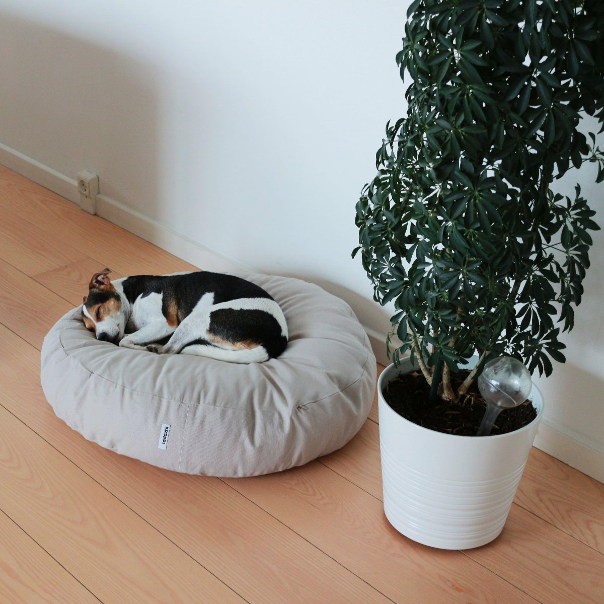 Coussin rond pour chien - POESPAS - Kasibe