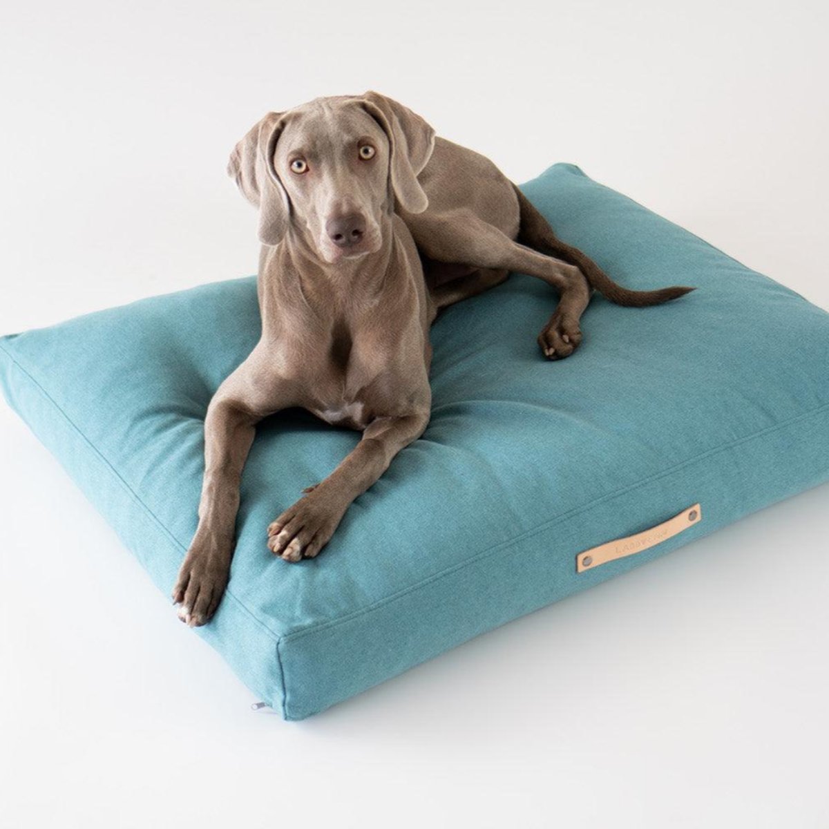 Coussin scandinave pour chien - NORDIC - Kasibe