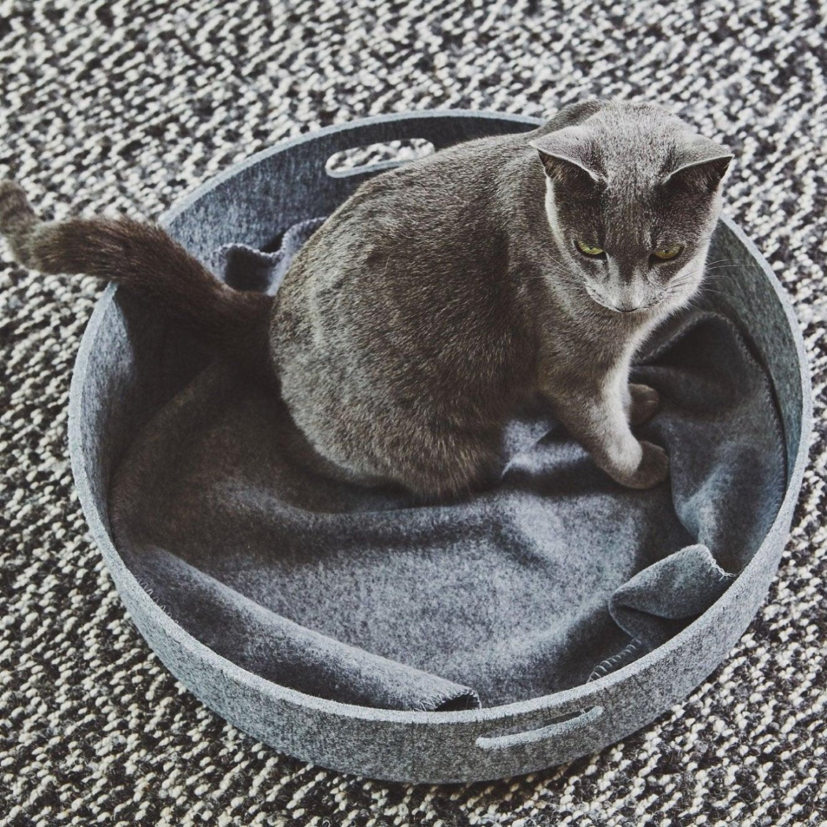 Couverture chaude pour chat en polaire - UNICA - Kasibe