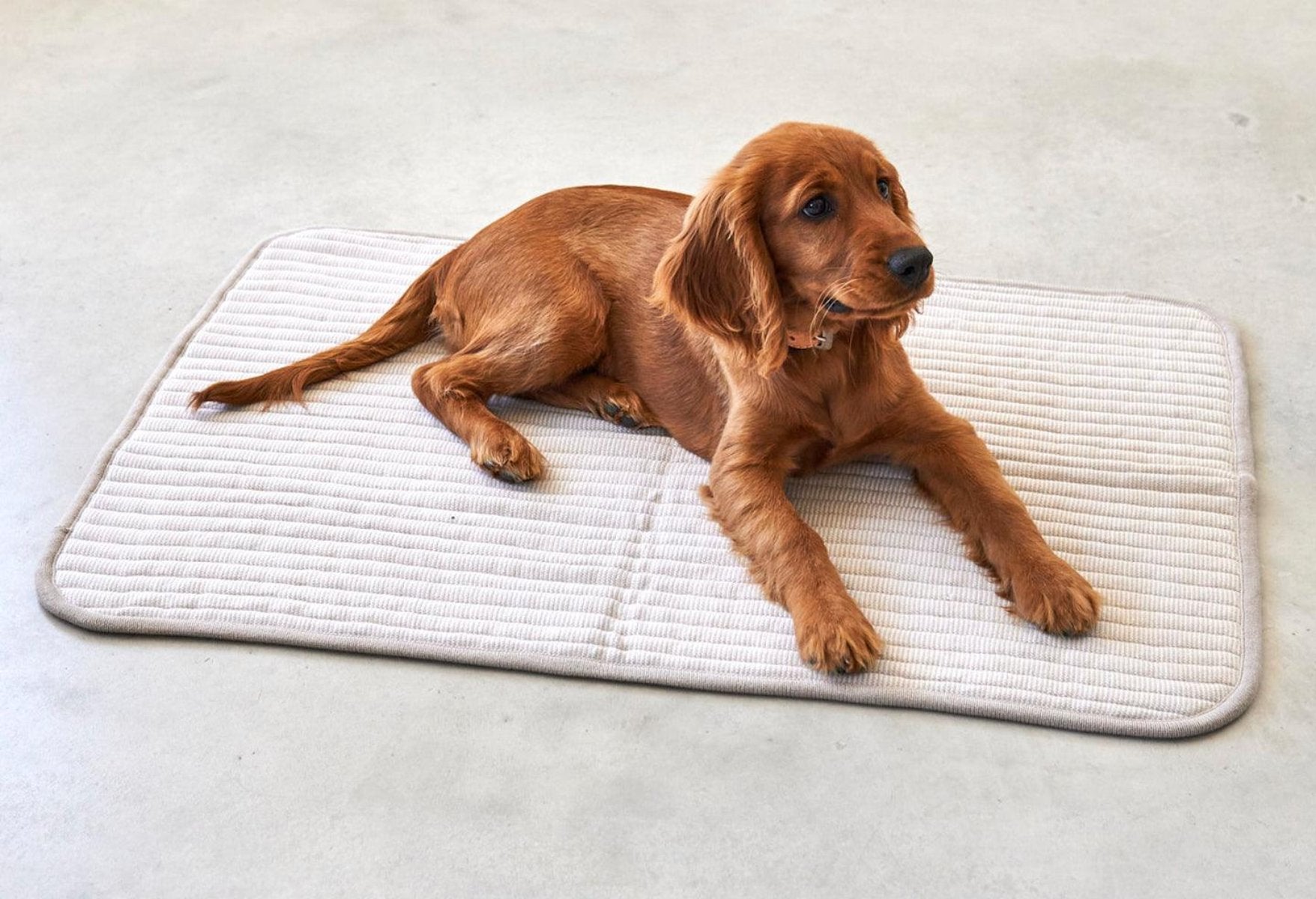 Couverture épaisse pour chien - ONDA - Kasibe