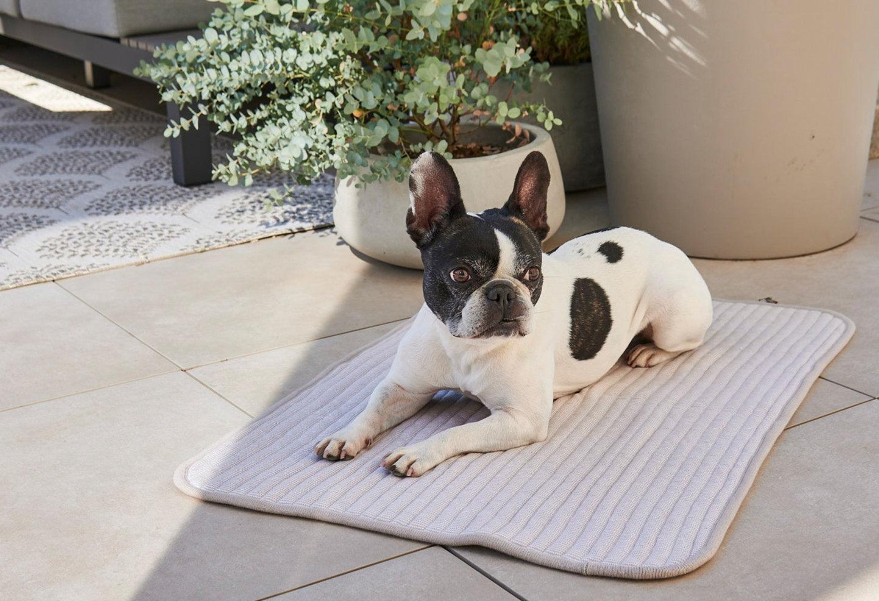 Couverture épaisse pour chien - ONDA - Kasibe