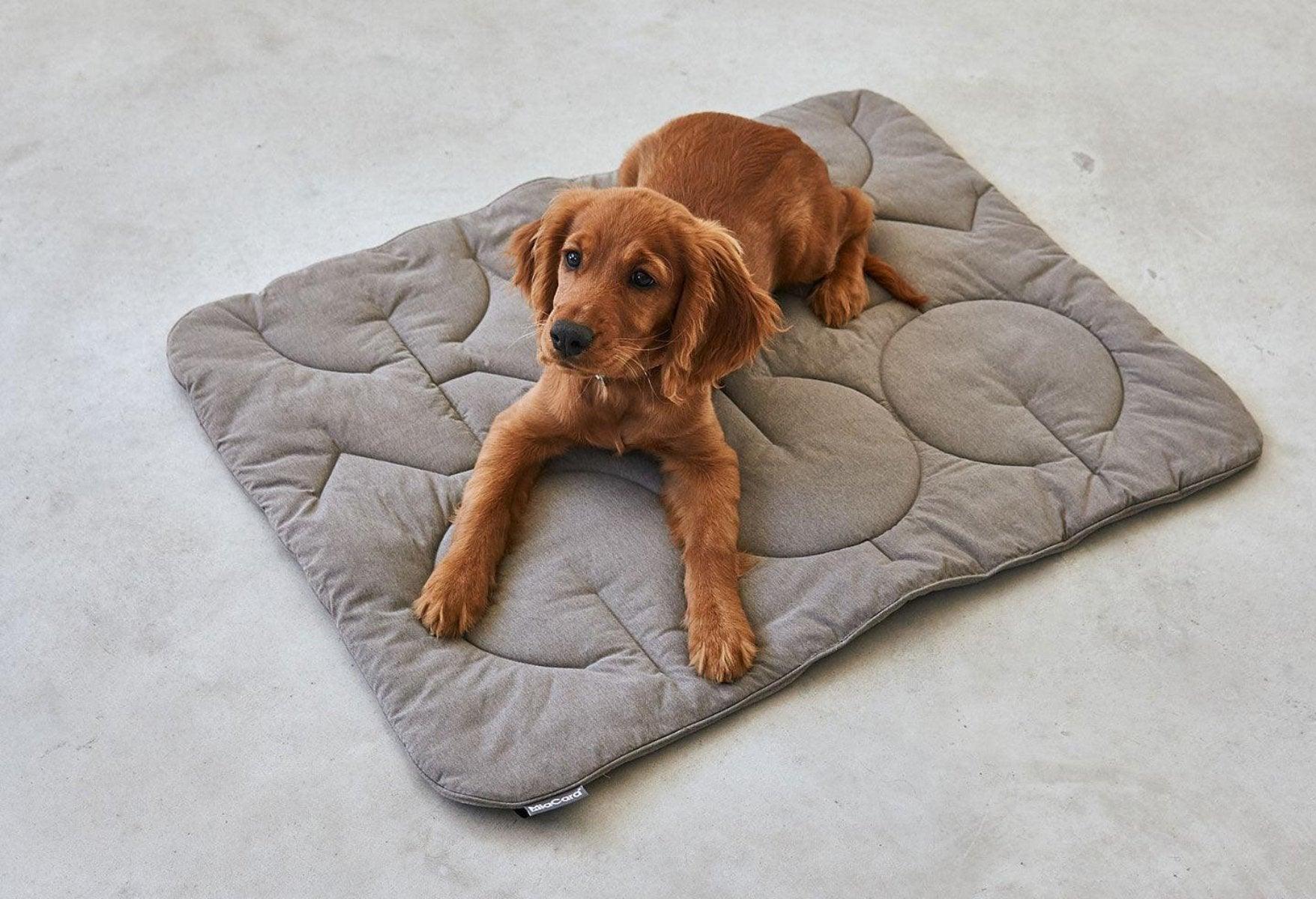 Couverture matelassée pour chien - LINEA - Kasibe