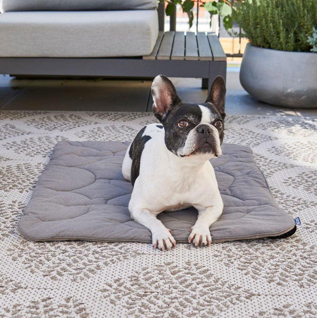 Couverture matelassée pour chien - LINEA - Kasibe