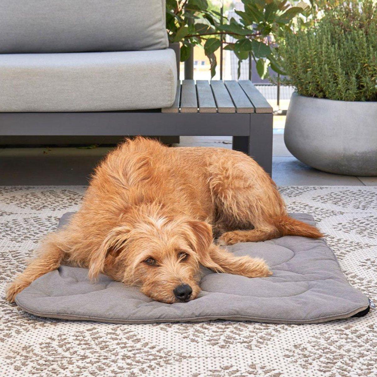 Couverture matelassée pour chien - LINEA - Kasibe