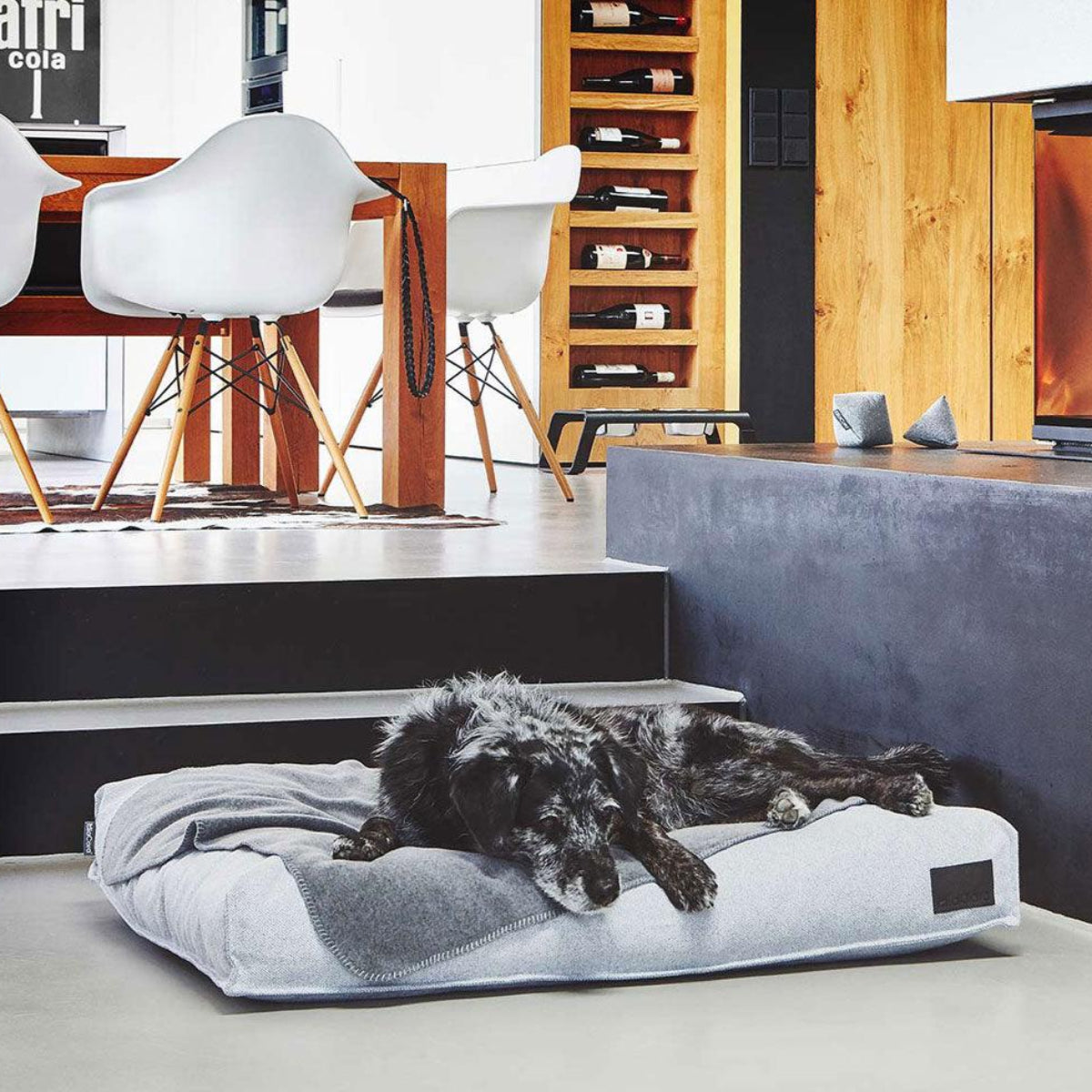 Couverture polaire pour chien - UNICA - Kasibe