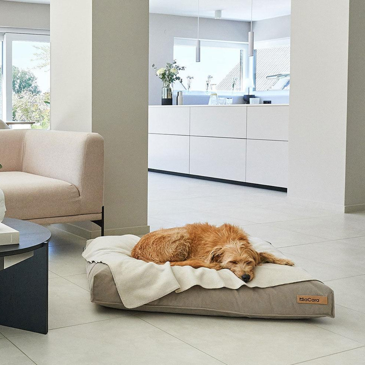 Couverture polaire pour chien - UNICA - Kasibe