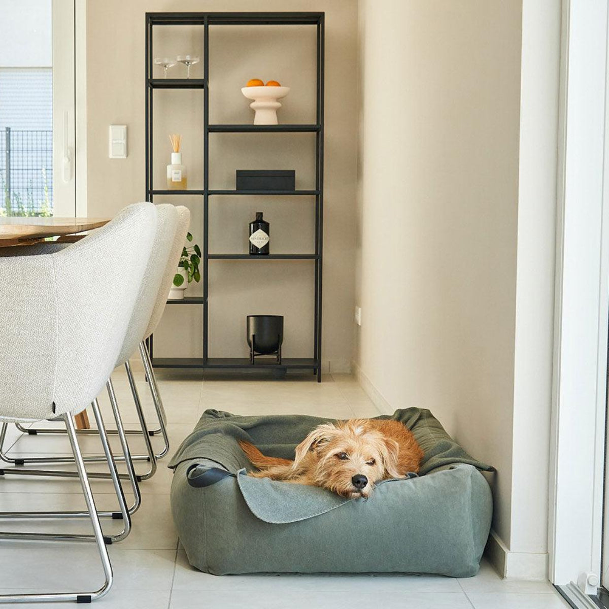 Couverture polaire pour chien - UNICA - Kasibe