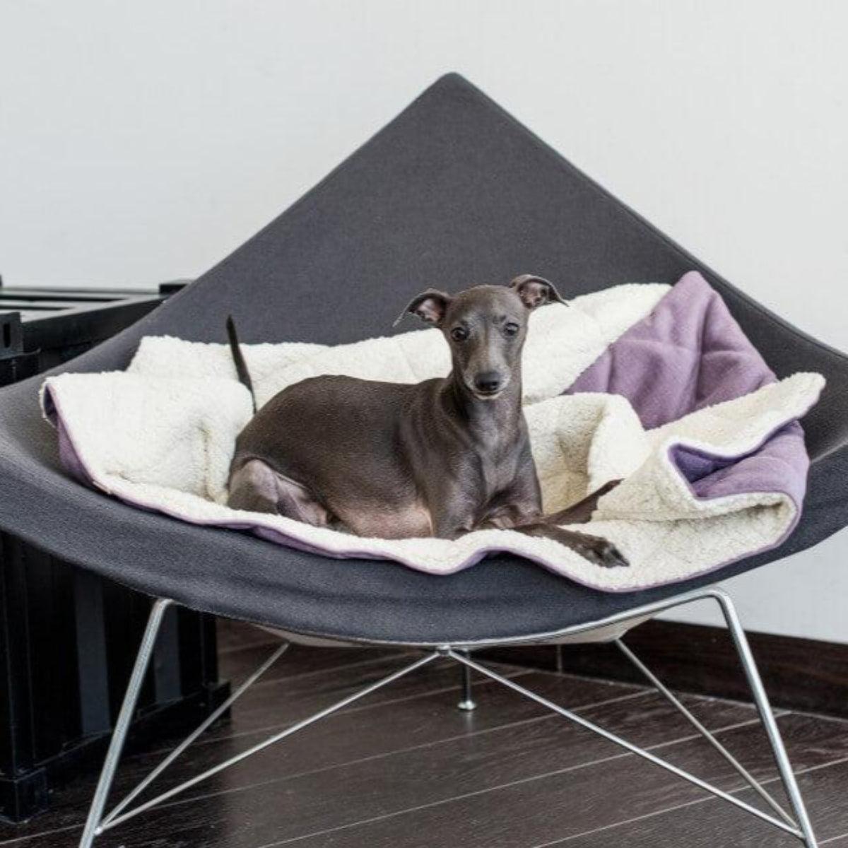 Couverture pour chien gigoteuse - DREAMY - Kasibe
