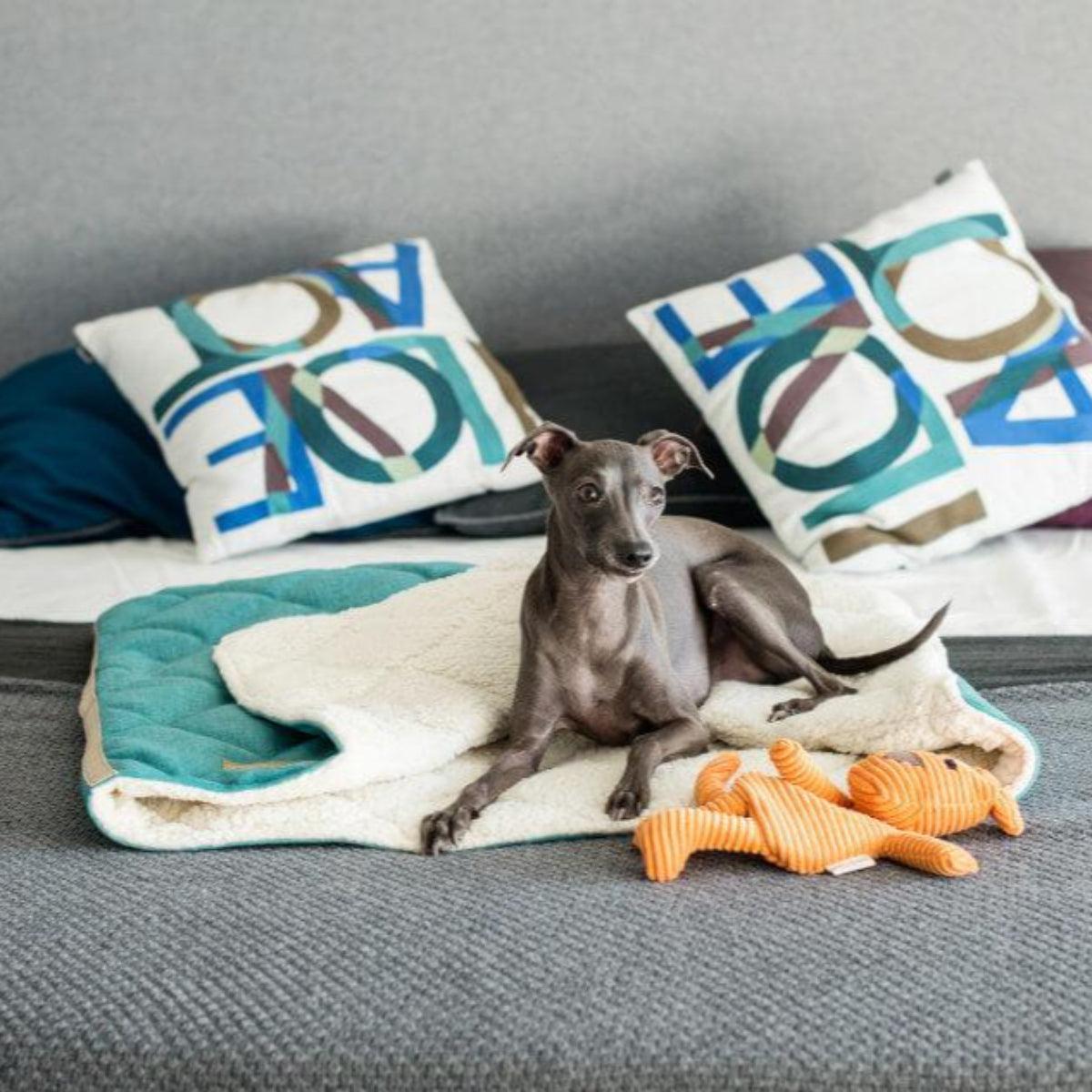 Couverture pour chien gigoteuse - DREAMY - Kasibe