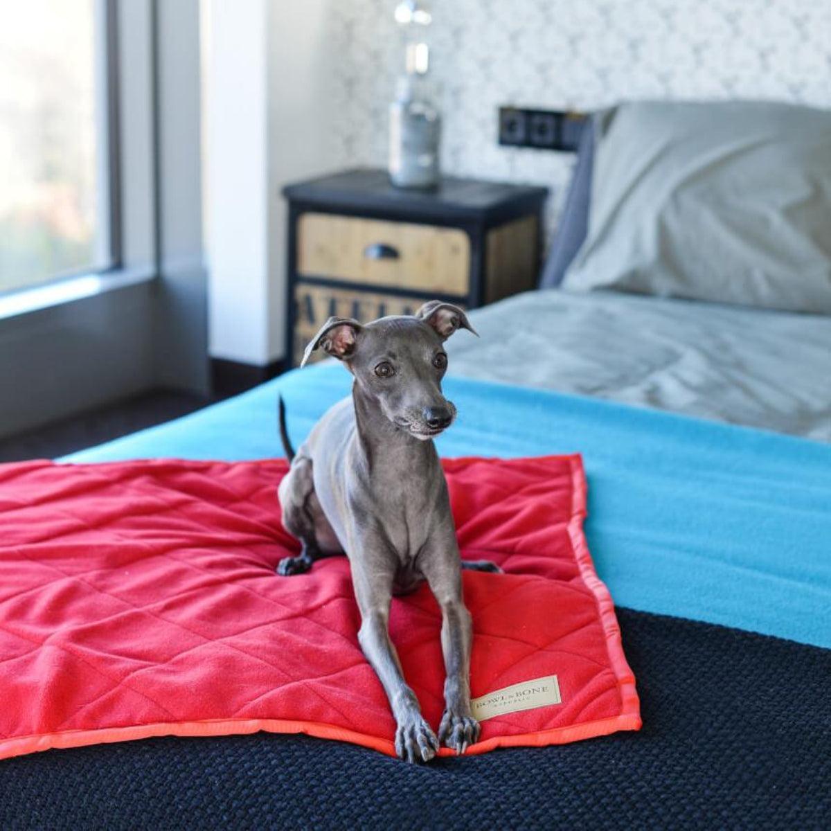 Couverture pour chien - ROYAL - Kasibe