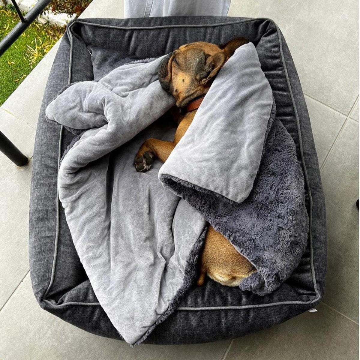 Couverture protection de canapé pour chien - COZY - Kasibe