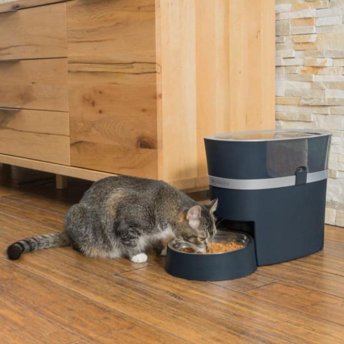 Distributeur de croquettes pour chat ou chien connecté - SMART FEED - Kasibe