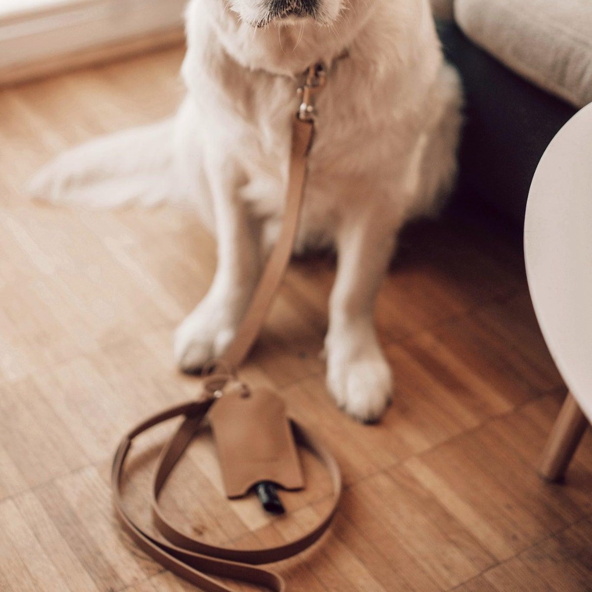 Distributeur de sachets pour chien - SAKU - Kasibe