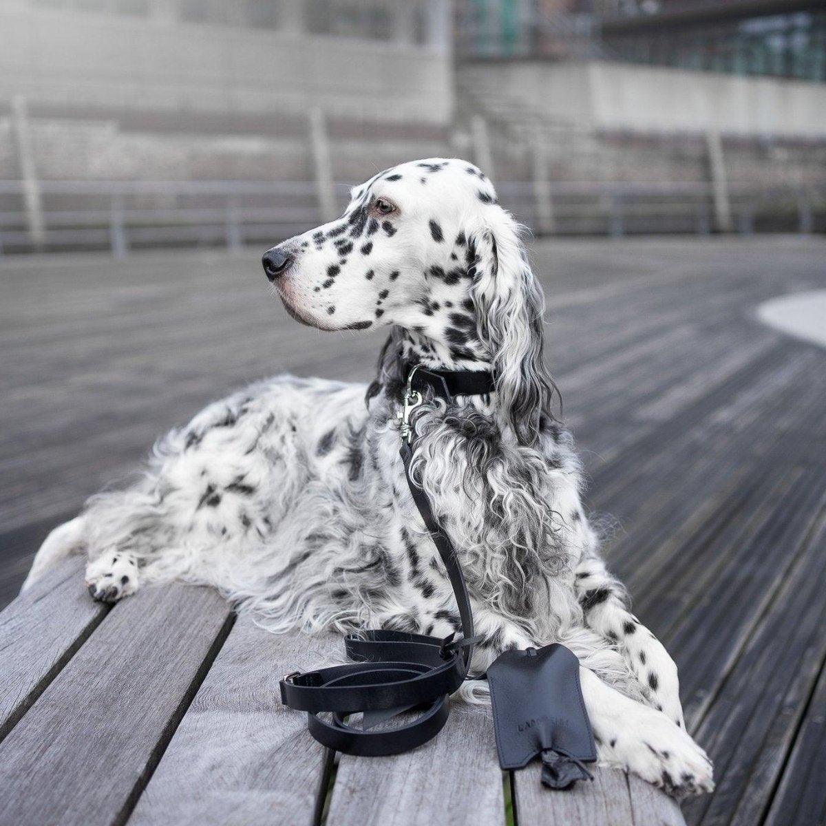 Distributeur de sachets pour chien - SAKU - Kasibe