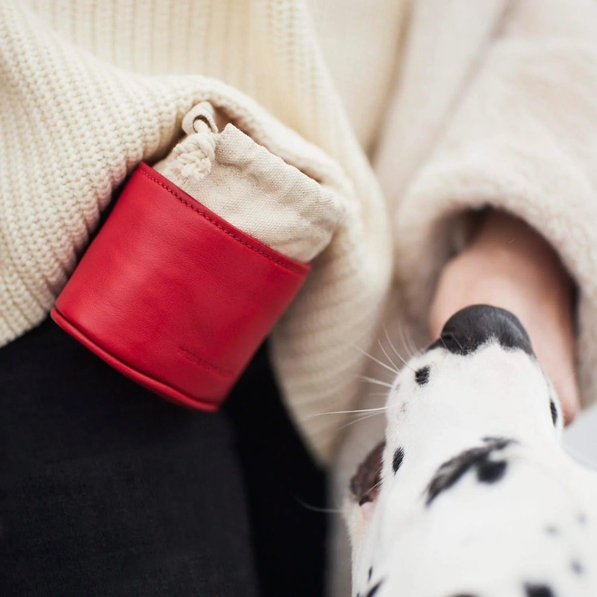 Distributeurs de friandises pour chien élégants - PLAINE - Kasibe