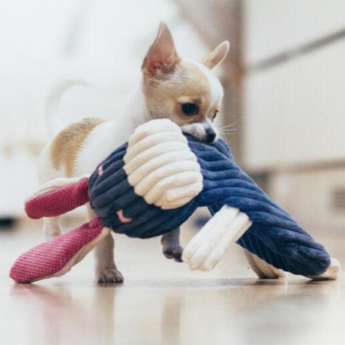 Doudou pour chien en tissu en forme d'animaux (lot de 3) - Kasibe