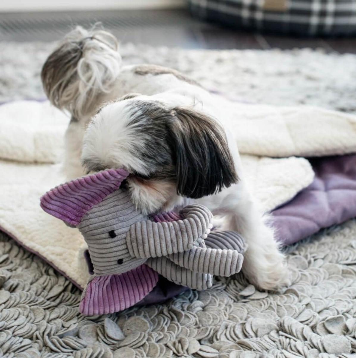 Doudou pour chien en tissu en forme d'animaux (lot de 3) - Kasibe
