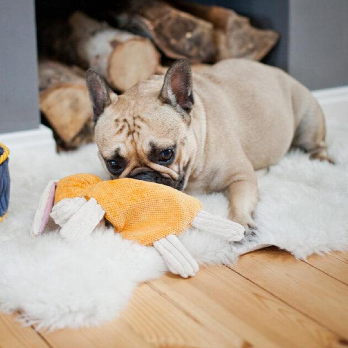 Doudou pour chien en tissu en forme d'animaux (lot de 3) - Kasibe